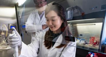 莱斯大学华人科学家报道CRISPR-Cas9治疗镰状细胞病进展
