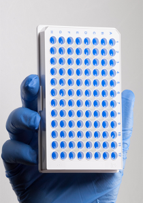 PCR Array检测服务