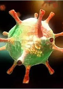 腺病毒（AdV）包装服务