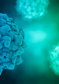 重组腺相关病毒（rAAV）包装服务