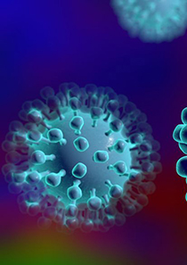 慢病毒（LV）包装服务