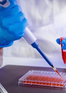 荧光定量PCR检测服务