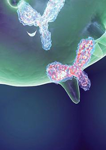 纳米抗体定制服务