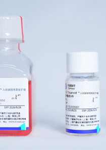 人结直肠类器官分化试剂盒