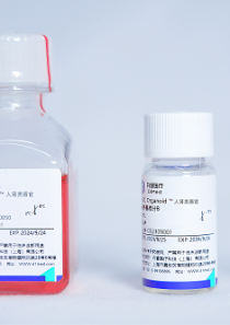 人肾类器官试剂盒